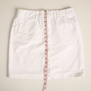 Express VINTAGE size 2 skirt